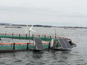 漁排風光互補發電係統